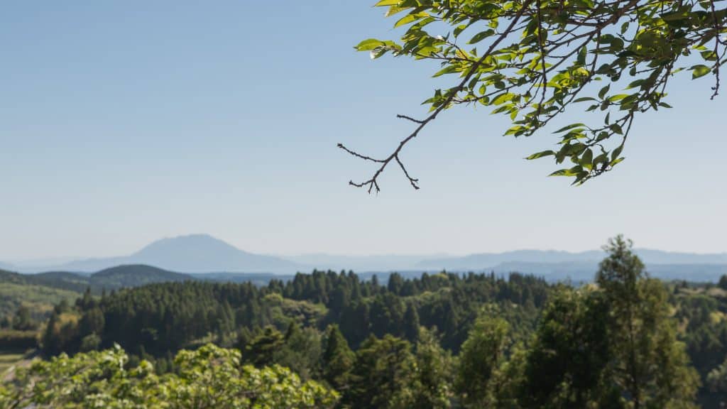 Expansive countryside with green forests and distant hills under a clear blue sky.