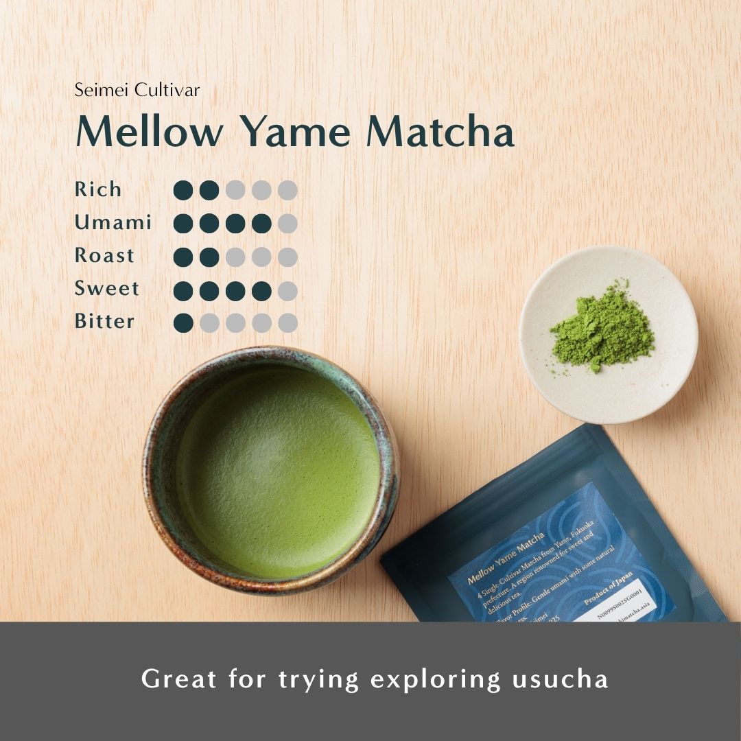 Flat lay of Seimei Cultivar Mellow Yame Matcha with a bowl of prepared matcha, a dish of powder, and the blue package on a wooden surface